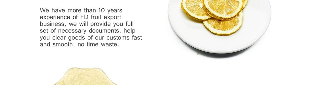product-1000-272 freeze dried lemon Powder Free Sample
