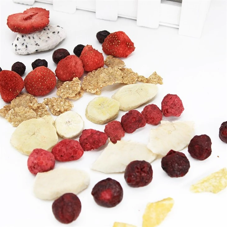 Freeze Dried Fruit For Drinks
